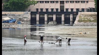 The Yamuna level has dropped to 268 feet, 6.5 notches below the normal level and close to a historic low (Arvind Yadav/ HT) The Yamuna level has dropped to 268 feet, 6.5 notches below the normal level and close to a historic low (Arvind Yadav/ HT)