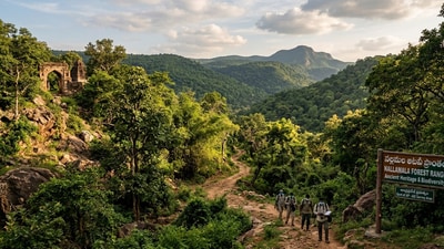 నల్లమలలో సర్వే నల్లమలలో సర్వే