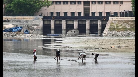 The Yamuna level has dropped to 268 feet, 6.5 notches below the normal level and close to a historic low (Arvind Yadav/ HT)
