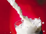 Milk 