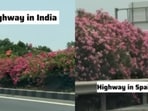 An Indian woman said her Europe trip made her realise how much India’s road infrastructure had improved.