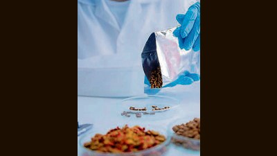 The decision comes as the department intensifies surveillance of food products across the district. (HT File)
