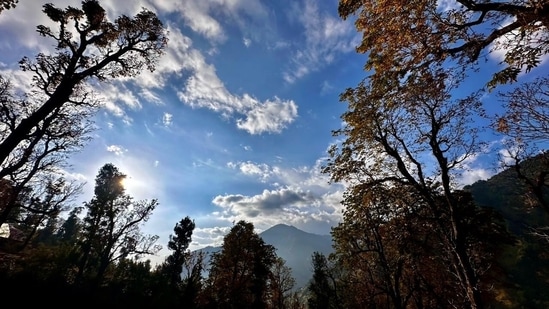 The Pindari Glacier Trek is one of the most accessible and picturesque glacier treks in the Kumaon region of Uttarakhand. (X/ Ministry of Statistics & Programme Implementation @GoIStats)