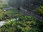 A recent amicus report before the NGT found high faecal coliform and BOD levels in all major choes, indicating continued sewage contamination. (HT File)
