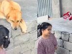 Little girl chatting with a dog in a heartwarming viral moment.