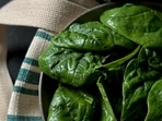 Spinach needs to be cooked well before eating, shares Dr Vatsya. 