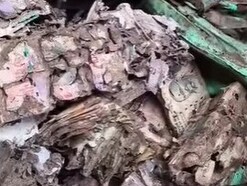 উইয়ে কাটা নোট! সুরেন্দ্রনাথ কলেজের ইউনিয়ান রুমে উদ্ধার বিপুল টাকার বান্ডিল
