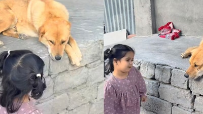 Little girl chatting with a dog in a heartwarming viral moment. (Instagram/@kuhu_coo_bird) Little girl chatting with a dog in a heartwarming viral moment. (Instagram/@kuhu_coo_bird)