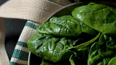 Spinach needs to be cooked well before eating, shares Dr Vatsya. (Pexel)