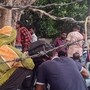 মুর্শিদাবাদ দিয়ে ১৭ বাংলাদেশি অনুপ্রবেশকারীকে ফেরত পাঠিয়ে দেওয়া হল। (ছবিটি প্রতীকী, সৌজন্যে এএনআই)