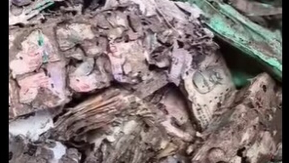 উইয়ে কাটা নোট! সুরেন্দ্রনাথ কলেজের ইউনিয়ান রুমে উদ্ধার বিপুল টাকার বান্ডিল
