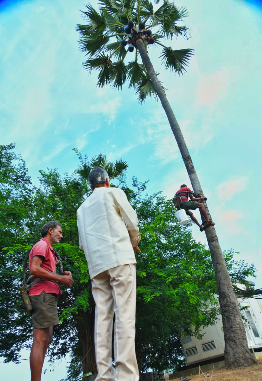 <p>కాకినాడ జిల్లా తుని నియోజకవర్గంలోని చామవరం గ్రామంలో అరుదైన దృశ్యం ఆవిష్కృతమైంది. ముఖ్యమంత్రి నారా చంద్రబాబు స్వయంగా కల్లుగీత కార్మికుడి ఇంటికి వెళ్లారు. గ్రామానికి చెందిన కల్లుగీత కార్మికుడు సింహాచలం నివాసానికి వెళ్లిన ముఖ్యమంత్రి, ఆయనకు 'ఎన్టీఆర్ భరోసా' పథకం కింద రూ.4 వేల పింఛన్ సొమ్మును స్వయంగా అందజేశారు. కేవలం పింఛన్ ఇవ్వడమే కాకుండా, ఆ కుటుంబంతో కాసేపు ముచ్చటించి వారి యోగక్షేమాలను ఆప్యాయంగా అడిగి తెలుసుకున్నారు.</p> <p>కాకినాడ జిల్లా తుని నియోజకవర్గంలోని చామవరం గ్రామంలో అరుదైన దృశ్యం ఆవిష్కృతమైంది. ముఖ్యమంత్రి నారా చంద్రబాబు స్వయంగా కల్లుగీత కార్మికుడి ఇంటికి వెళ్లారు. గ్రామానికి చెందిన కల్లుగీత కార్మికుడు సింహాచలం నివాసానికి వెళ్లిన ముఖ్యమంత్రి, ఆయనకు 'ఎన్టీఆర్ భరోసా' పథకం కింద రూ.4 వేల పింఛన్ సొమ్మును స్వయంగా అందజేశారు. కేవలం పింఛన్ ఇవ్వడమే కాకుండా, ఆ కుటుంబంతో కాసేపు ముచ్చటించి వారి యోగక్షేమాలను ఆప్యాయంగా అడిగి తెలుసుకున్నారు.</p>