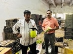 The two-day operation, conducted under the directions of FDA commissioner Tukaram Mundhe, resulted in the seizure of 3,453 kg of mangoes worth <span class='webrupee'>₹</span>11.12 lakh from three establishments in the wholesale fruit market, officials said. (Bachchan Kumar/Hindustan Times)