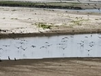 Parvesh Verma said that due to the dry spell in the Yamuna, water production has been reduced by around 100 million gallons per day (MGD).