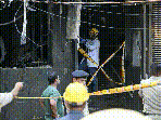 Malviya Nagar fire LIVE: The blaze erupted at the Flourish Stay B&B in Hauz Rani, a congested locality in Malviya Nagar.