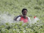 Paraquat dichloride (HT File Photo/Representative Image)