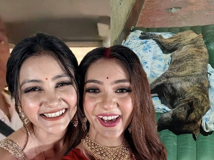 পথকুকুরকে গাড়ি দিয়ে দায় এড়ানোর অভিযোগ বাবার বিরুদ্ধে, পালটা জবাব অনন্যা গুহর