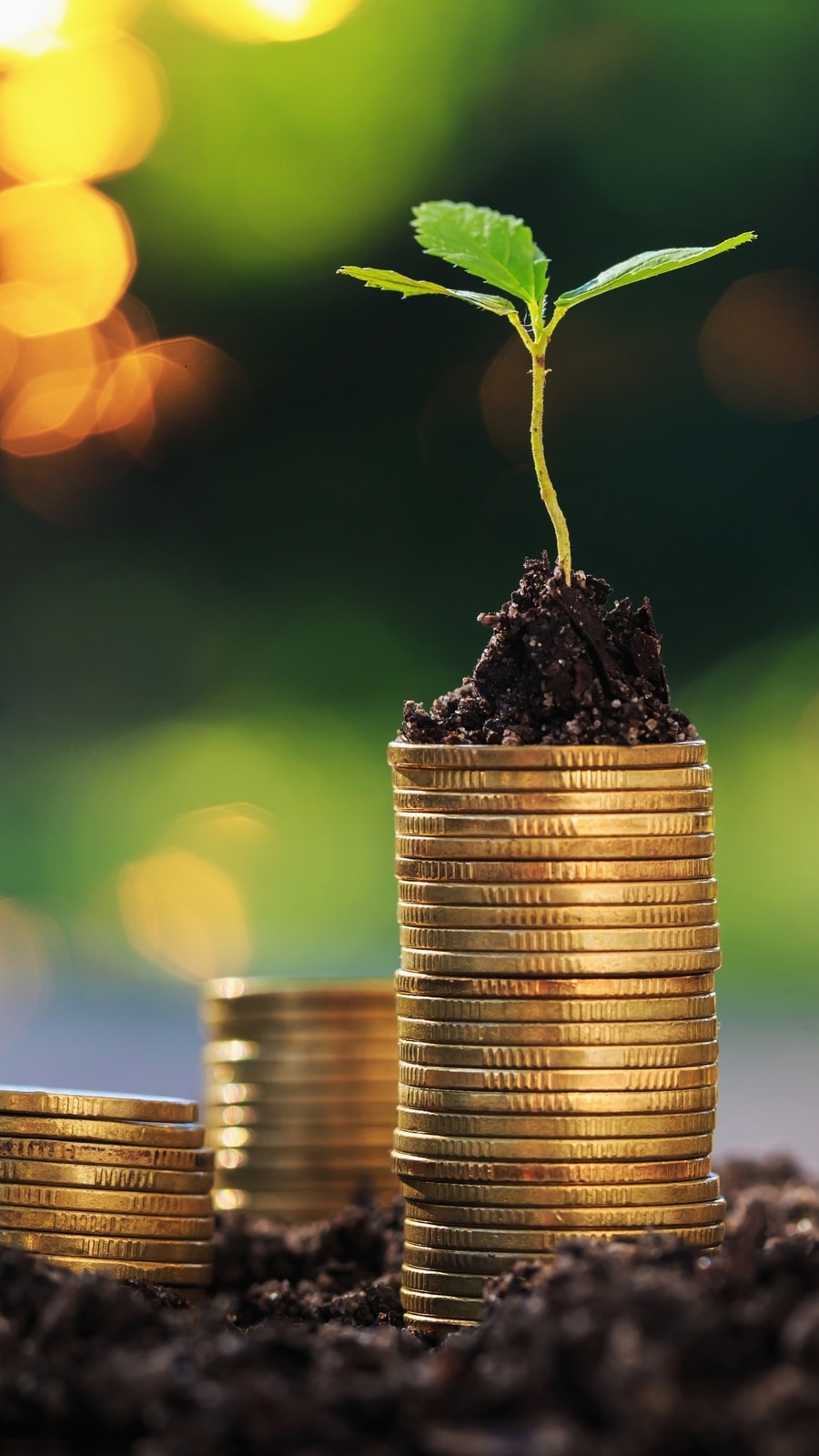 Philanthropy (Shutterstock)