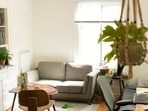 Know the decor hacks that rejuvenate your rented space, from potted plants to wall arts. (Picture credit: Unsplash)