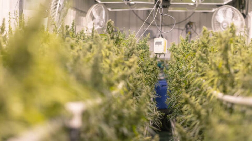 ప్రతీకాత్మక చిత్రం