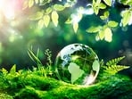 World Environment Day