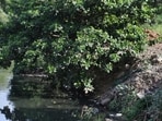 Thane, India - June -05 2026: The National Green Tribunal (NGT), Western Zone, Pune, has taken serious cognizance of the ongoing illegal dumping and landfilling activities in the protected mangrove and wetland areas of Saket and Rabodi in Thane. The NGT on Friday issued notices to the Thane Police Commissioner, the Maharashtra Coastal Zone Management Authority (MCZMA), the Thane District Collector, and the Thane Municipal Corporation (TMC). The alleged illegal landfilling has heightened fears of flooding in nearby residential areas such as Rabodi, Saket, Rustomjee, Akash Ganga, and adjoining localities, as it is reportedly obstructing natural rainwater drainage channels ,in Mumbai, India, on, Friday, June -05, 2026. ( photo by Praful Gangurde / Hindustan Times ) Thane, India - June -05 2026: The National Green Tribunal (NGT), Western Zone, Pune, has taken serious cognizance of the ongoing illegal dumping and landfilling activities in the protected mangrove and wetland areas of Saket and Rabodi in Thane. The NGT on Friday issued notices to the Thane Police Commissioner, the Maharashtra Coastal Zone Management Authority (MCZMA), the Thane District Collector, and the Thane Municipal Corporation (TMC). The alleged illegal landfilling has heightened fears of flooding in nearby residential areas such as Rabodi, Saket, Rustomjee, Akash Ganga, and adjoining localities, as it is reportedly obstructing natural rainwater drainage channels ,in Mumbai, India, on, Friday, June -05, 2026. ( photo by Praful Gangurde / Hindustan Times )