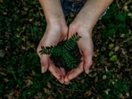 World Environment Day