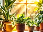 World Environment Day 2026: 6 lucky plants for your home as per Vastu