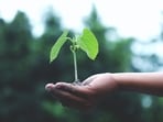 Climate promise(Akil Mazumder)