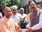 Chief minister Yogi Adityanath planting a sapling on the occasion of World Environment Day in Lucknow on Friday. (HT Photo)