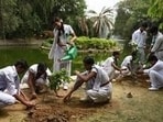 Justice Sibal said that the initiative aims not merely to increase green cover, but also strengthening biodiversity and enhancing environmental sustainability. (HT Photo for representation)