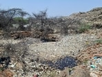 Officials said only 1,400-1,500 metric tonnes of the 2,300-2,400 metric tonnes of daily waste reaching the site is currently processed. (HT )