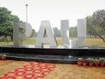 PAU has advised farmers to use nematode-free seedlings, raise nurseries at clean sites and solarise nursery beds with transparent polythene sheets during May and June. (HT File)
