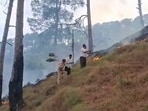 A total of 378.87 hectares of forest area was affected in 197 forest fires since 2020-21 in Ramnagar forest division that spans over 37,252 hectares and 95% fires were man-induced. (HT Photo)
