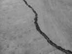 Tremors were felt across Kolkata and North Bengal on Sunday.