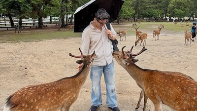Impressed by the calm and clean environment of the park, Kunal wrote, “What makes it even more magical is the setting which is spotlessly clean, unbelievably peaceful and surrounded by nature that feels untouched by time. No chaos, no noise, Just rustling trees, curious deer and the simple happiness of sharing a moment with them.” (Instagram/@chefkunal) Impressed by the calm and clean environment of the park, Kunal wrote, “What makes it even more magical is the setting which is spotlessly clean, unbelievably peaceful and surrounded by nature that feels untouched by time. No chaos, no noise, Just rustling trees, curious deer and the simple happiness of sharing a moment with them.” (Instagram/@chefkunal)