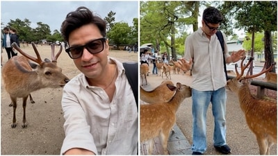 Kunal also visited Nara Park, where gentle deer – considered messengers of the gods in Japanese tradition – roam freely. He wrote, “There’s something incredibly joyful about feeding them. One moment you’re holding a deer cracker, the next you’re being politely ‘requested’ for another by a deer that bows better than most humans.” (Instagram/@chefkunal) Kunal also visited Nara Park, where gentle deer – considered messengers of the gods in Japanese tradition – roam freely. He wrote, “There’s something incredibly joyful about feeding them. One moment you’re holding a deer cracker, the next you’re being politely ‘requested’ for another by a deer that bows better than most humans.” (Instagram/@chefkunal)