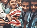 The delay is notable given that the Union ministry of education had flagged the project as one with potential for replication across the country. (HT File)