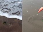 Broken glass found on Goa's Morjim Beach.