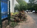 Activists have called upon Punekars to come forward and support efforts to protect the mature trees at the site. (REPRESENTATIVE PIC)