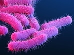 Keralam health minister confirms Shigella cases managed, monitoring continues