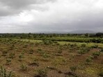The land acquisition process began on May 7 across seven villages in Purandar taluka, where a total of 1,216 hectares (around 3,000 acres) has been earmarked for the airport project. (HT FILE)
