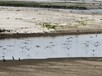 Water levels in Yamuna drop during peak summer months. Water levels in Yamuna drop during peak summer months.