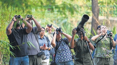 Bird enthusiasts observe the grey and oriental pied hornbill at the Lodhi Garden on Saturday. (Sanchit Khanna/HT Photo)