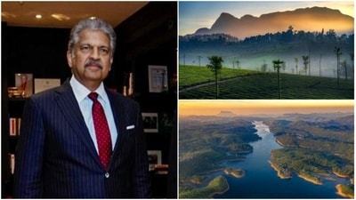 Valparai's untouched tea plantations and pristine landscapes can offer an escape from over-tourism. (File Photo/ ANI and X/ Anand Mahindra)