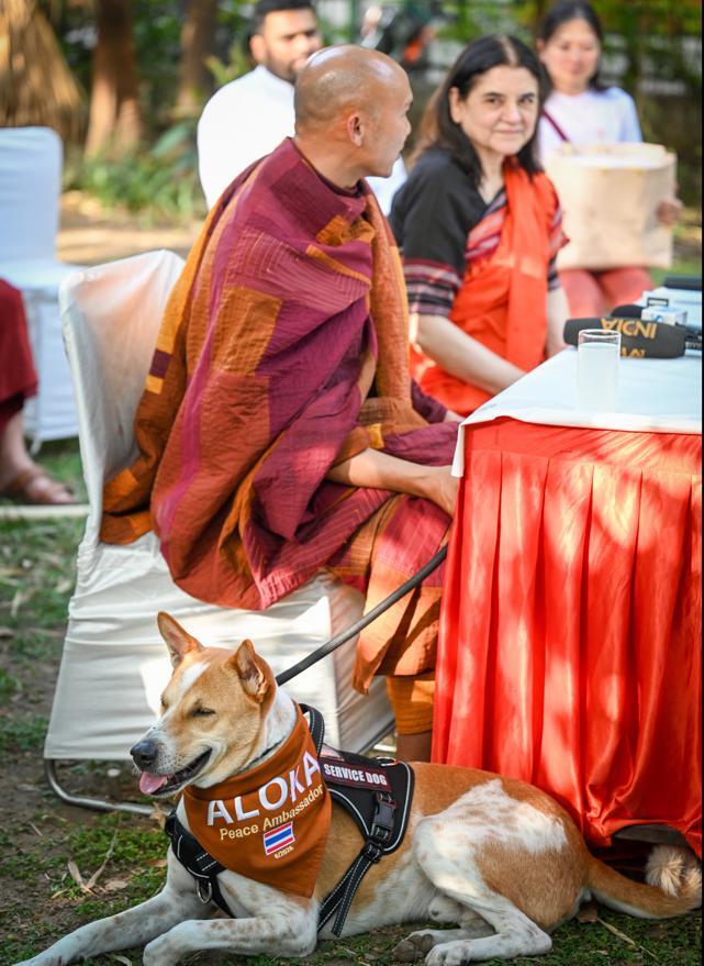 Delhi meets and greets Aloka, the global peace ambassador dog