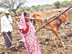 Latur farmer who yoked his wife gets bull from government