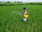 India imports fertilisers in large quantities, with suppliers in West Asia, the Gulf, and North Africa accounting for the bulk — most of it transiting the Strait of Hormuz, now disrupted by the conflict. India imports fertilisers in large quantities, with suppliers in West Asia, the Gulf, and North Africa accounting for the bulk — most of it transiting the Strait of Hormuz, now disrupted by the conflict.