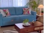 A govt quarter, nine months, zero structural changes. Rekha Beniwal shows how paint, plants, and lighting can turn any space into a personalised sanctuary. (Instagram/ home_feelit)