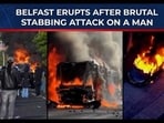 Violent riots have erupted in Belfast after the stabbing of 40‑year‑old Stephen Ogilvie, with buses, bins and a Middle Eastern market set on fire and shops looted as anger spills onto the streets.